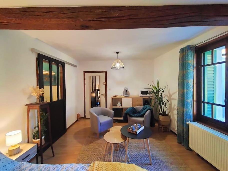 Studio Cosy Chez Re Meximieux Zewnętrze zdjęcie